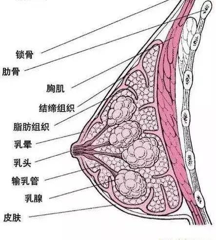 多名女性受害的后果,多名女性受害案