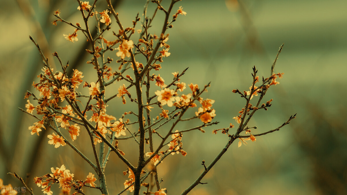 山不过来我就过去谁说的,山不过来我就过去是什么意思