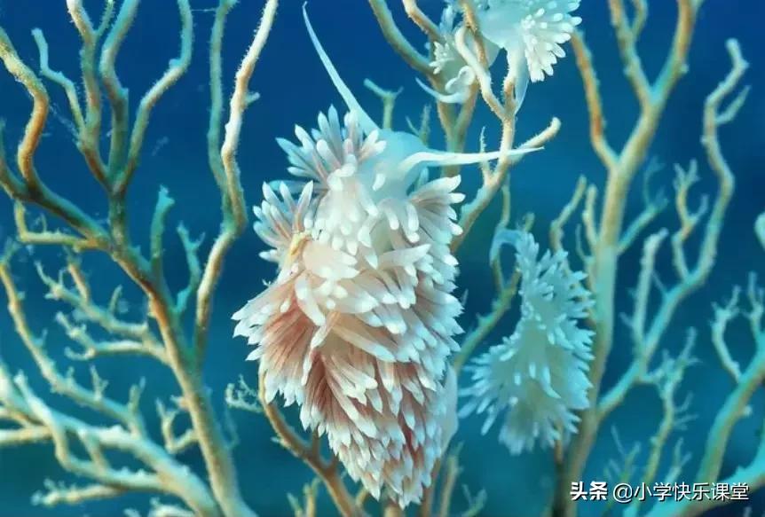 一年级数学小故事10篇最简短的,数学小故事10篇最简短的趣味数学