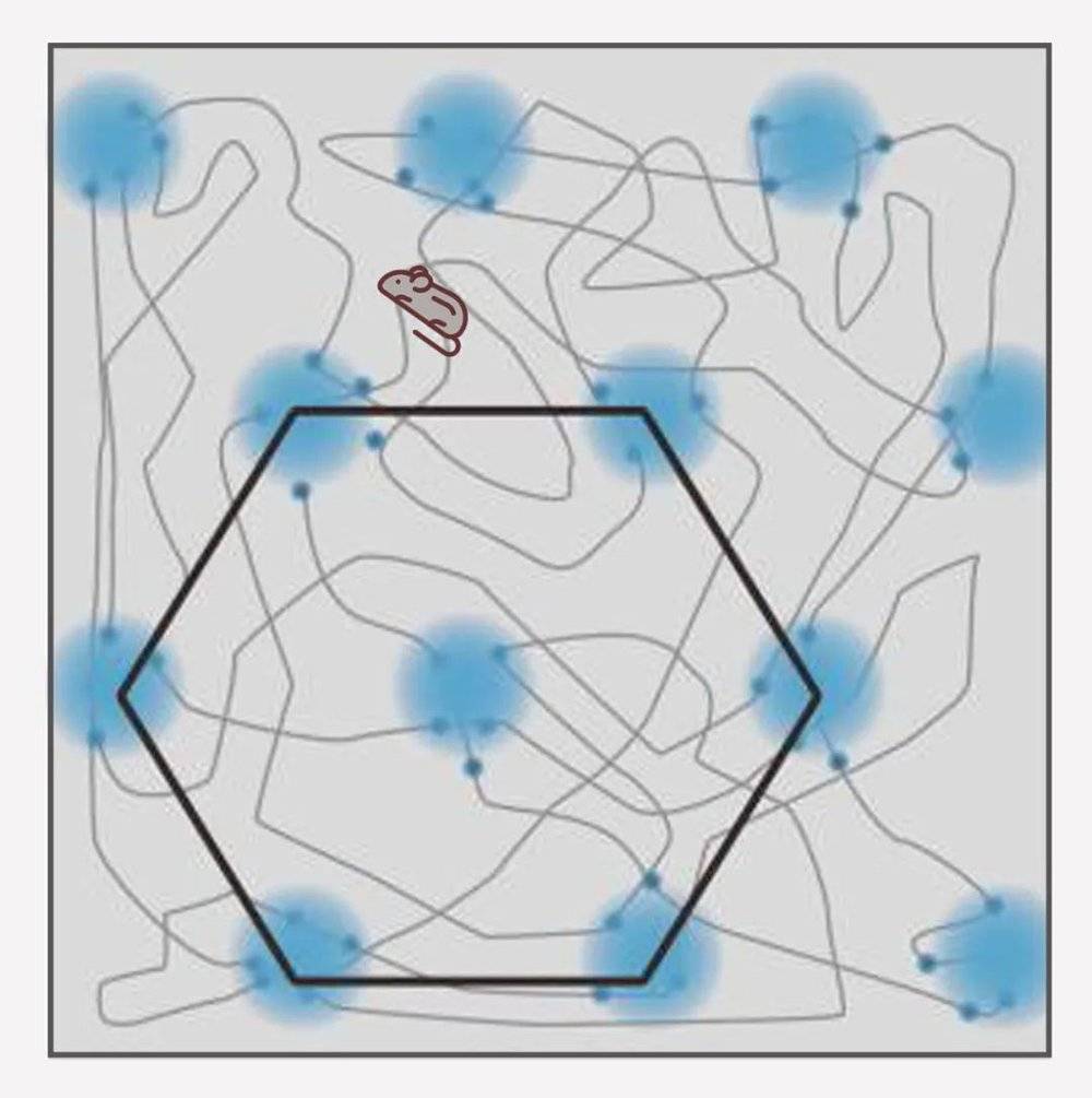 人类大脑导航,人类大脑的思维信号可以捕捉到吗