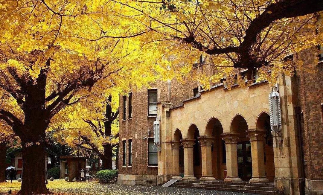 日本高中生排行榜,日本私立大学最新排名