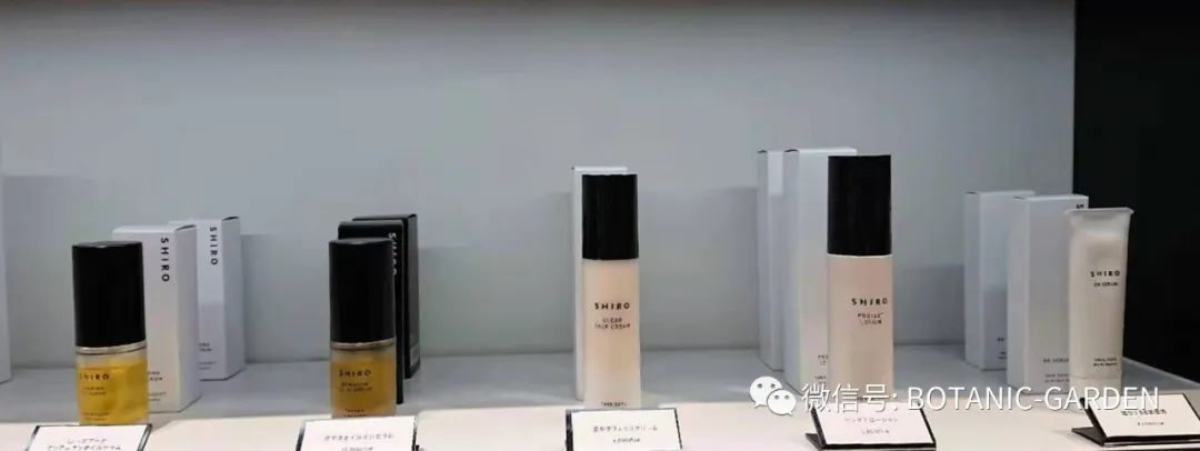 A-Z理研理化研究所简介