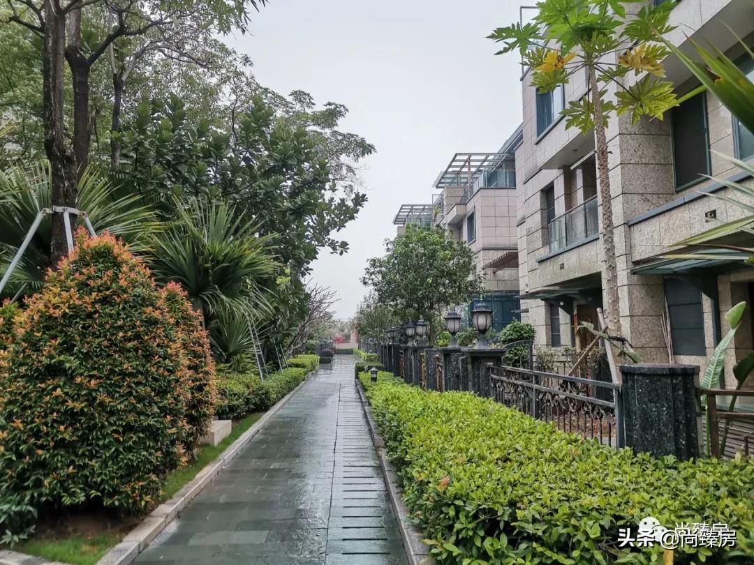 100多万人看过的房子,深圳湾三湘海尚别墅