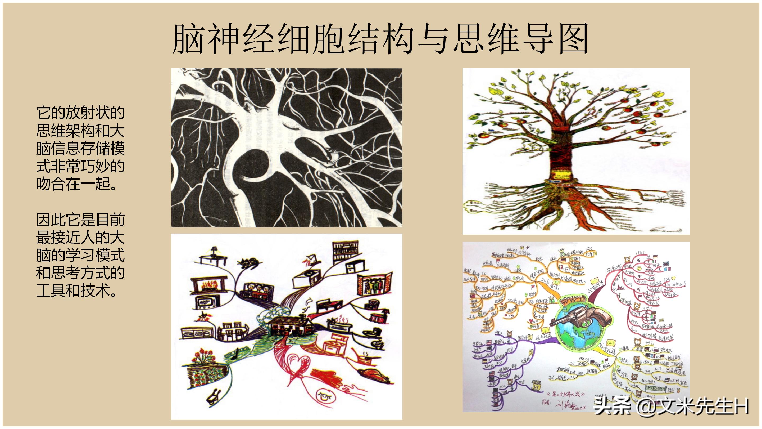 思维导图全套免费阅读,思维导图6课