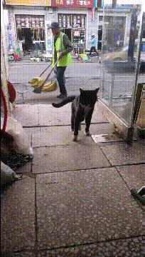 “如果这群女混混*攻围**我,我会舌战群儒!”你会怎样脱困?