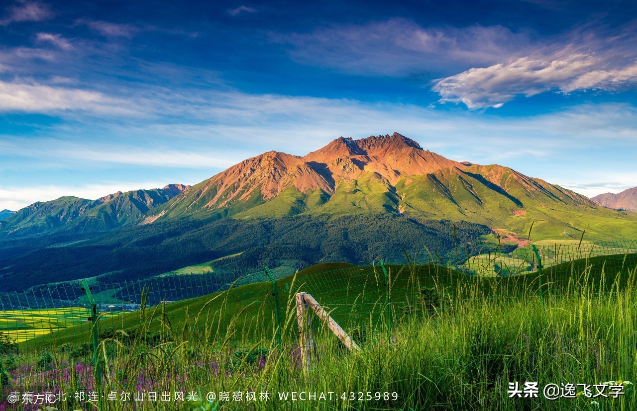 亲亲的大大、娘，你们在那边还好吗？