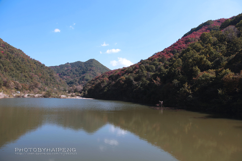 三门峡甘山国家森林公园最新消息,三门峡甘山国家森林公园马拉松