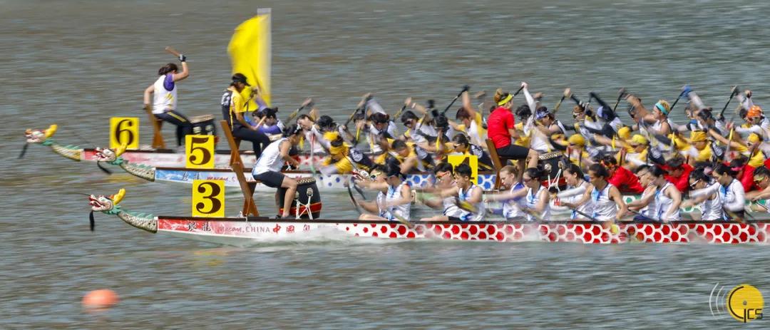 端午扒龙舟动图,龙舟图片高清美图
