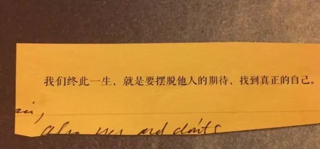 无声告白莉迪亚人生,无声告白莉迪亚