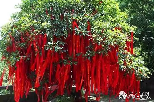 当阳玉泉寺的珍珠泉,当阳玉泉寺珍珠泉照片