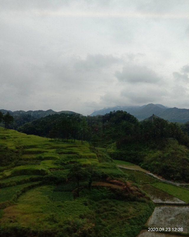 只要心中​还有归宿，你就不会迷路——读后感