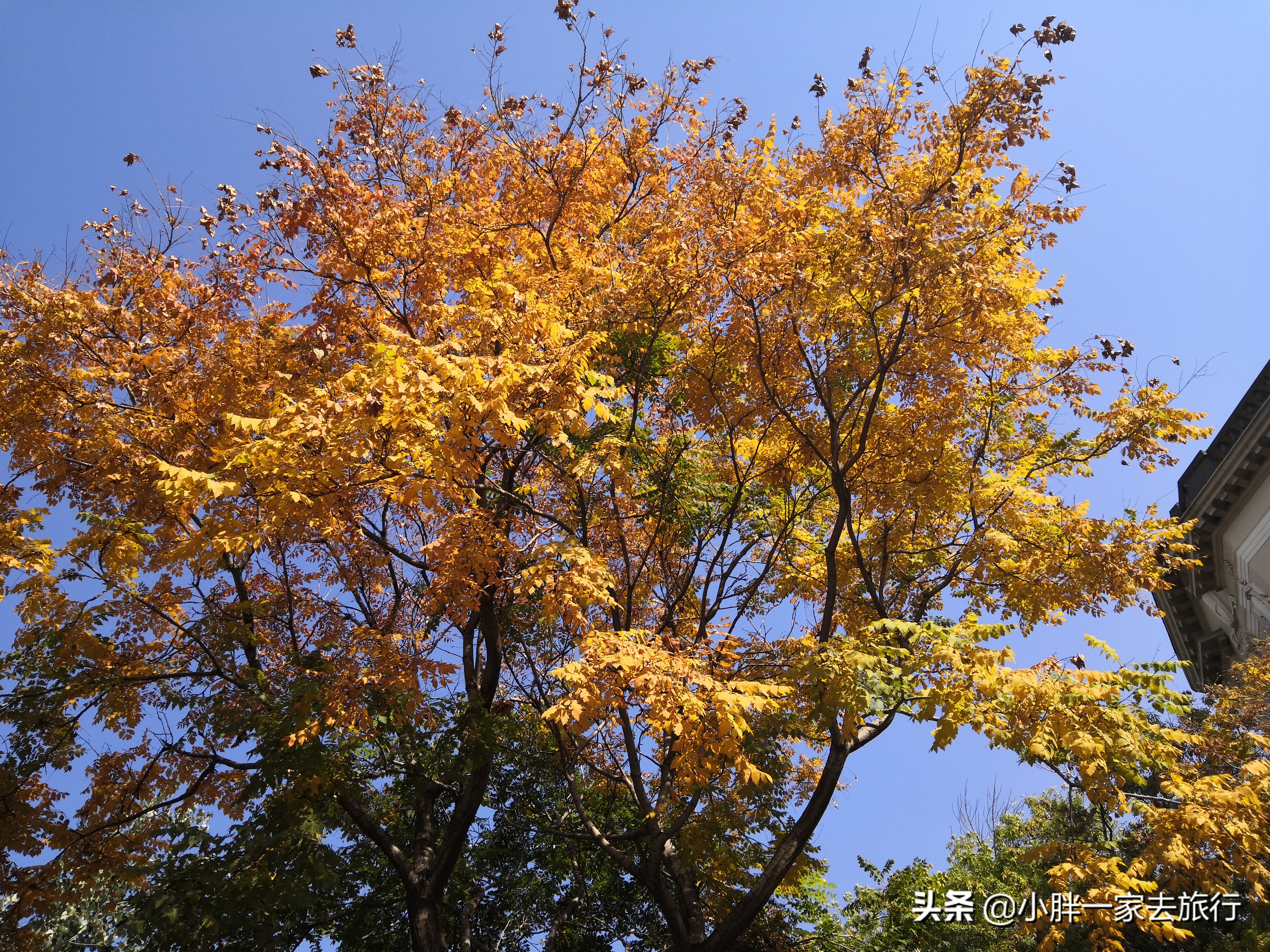 逛逛我的家乡天津滨江道,天津旅游滨江道