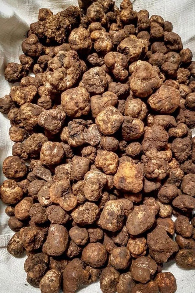 上海瑞典纯手工巧克力店,瑞士最好的手工巧克力