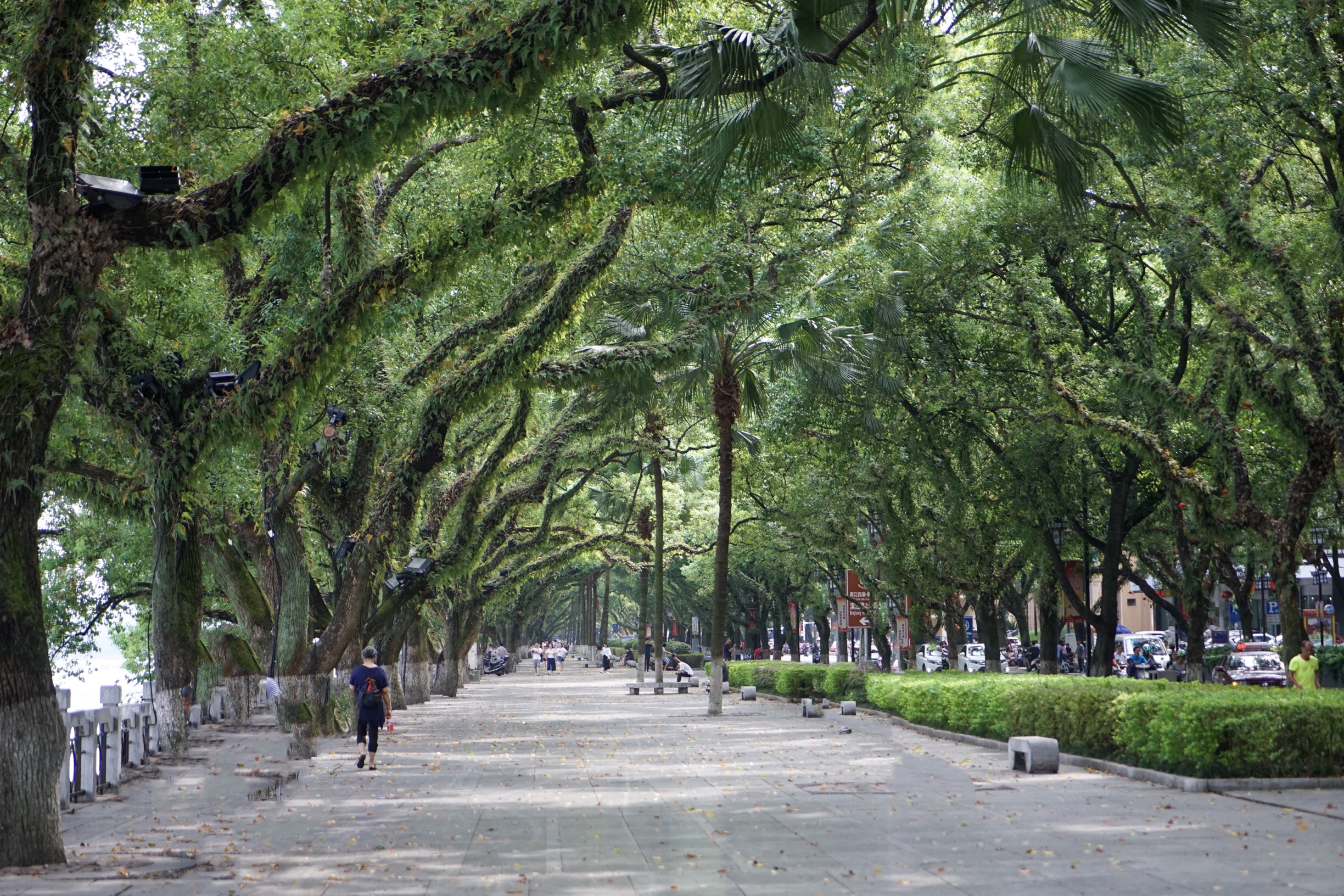 桂林山水六日游198元,桂林28元阳朔三日游