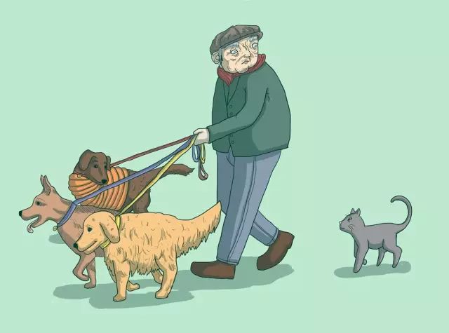 养狗花几百万,养狗花钱多还是女朋友花钱多