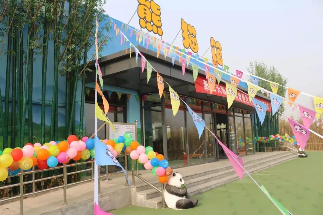 *安泰**赏花休闲婚拍就到泰山花海摩玛梦想城