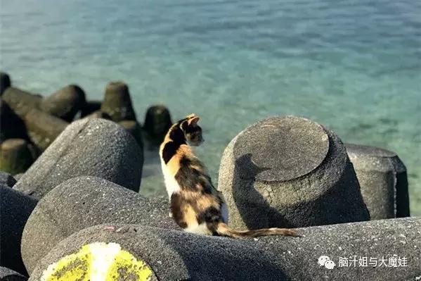 冲绳奥武山公园滑梯,冲绳旅游攻略自由行最新