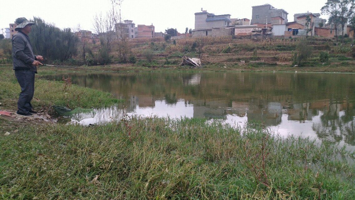 收费100一天的水库,离昆明市区最近的收费钓鱼水库