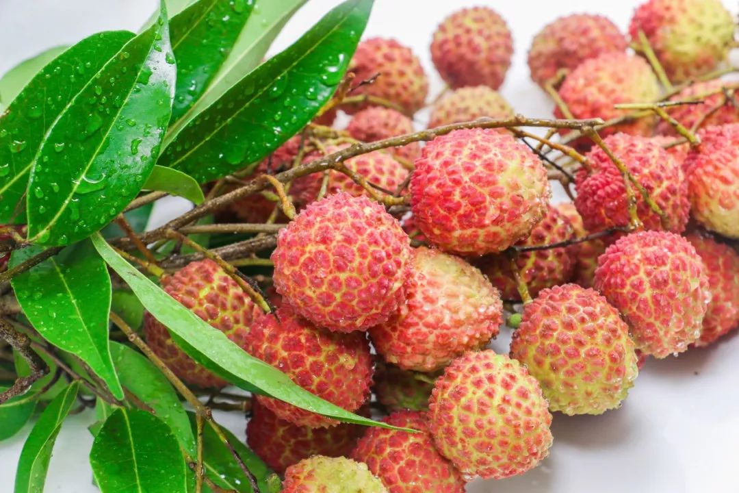 吃完这桌荔枝菜，我明白了荔枝圈的隐形鄙视链