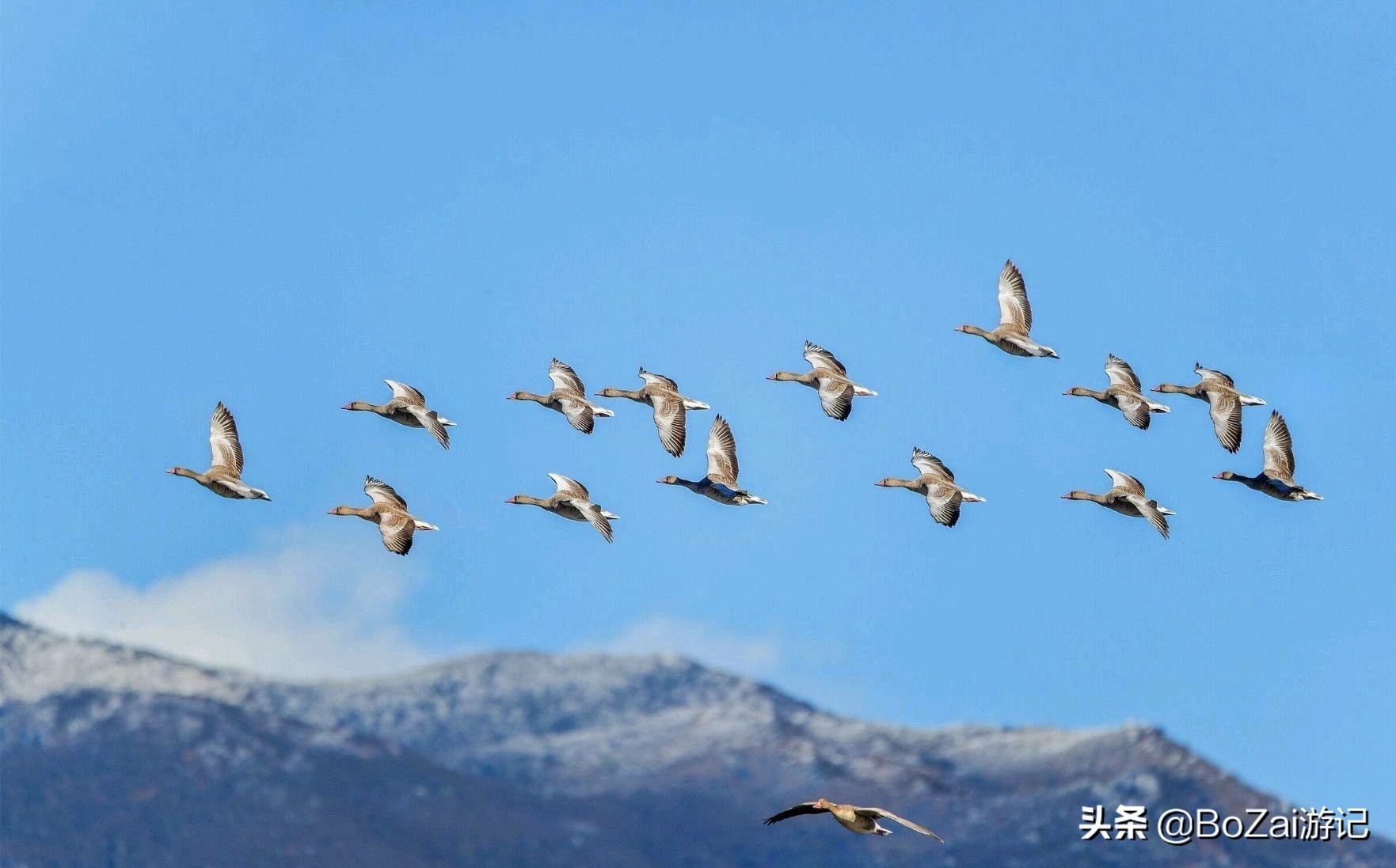 去云南丽江必游景点攻略,去云南丽江旅游必去景点