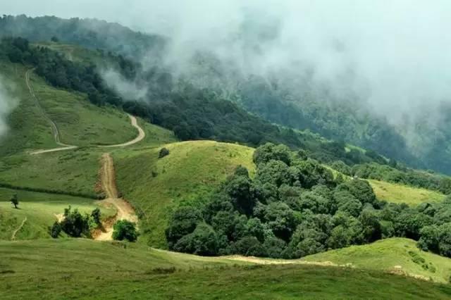 在竹溪河发现宫崎骏里的花海,宫崎骏的天空黑河