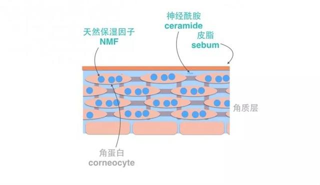 敏感肌不能用什么成分的护肤品,敏感肌不可以用哪些成分的护肤品
