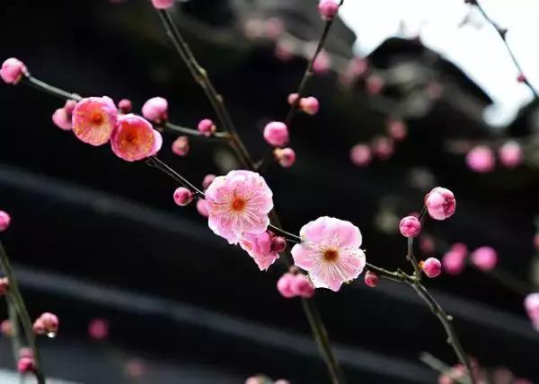 南京周边国庆亲子游,南京周边3日游旅游景点推荐