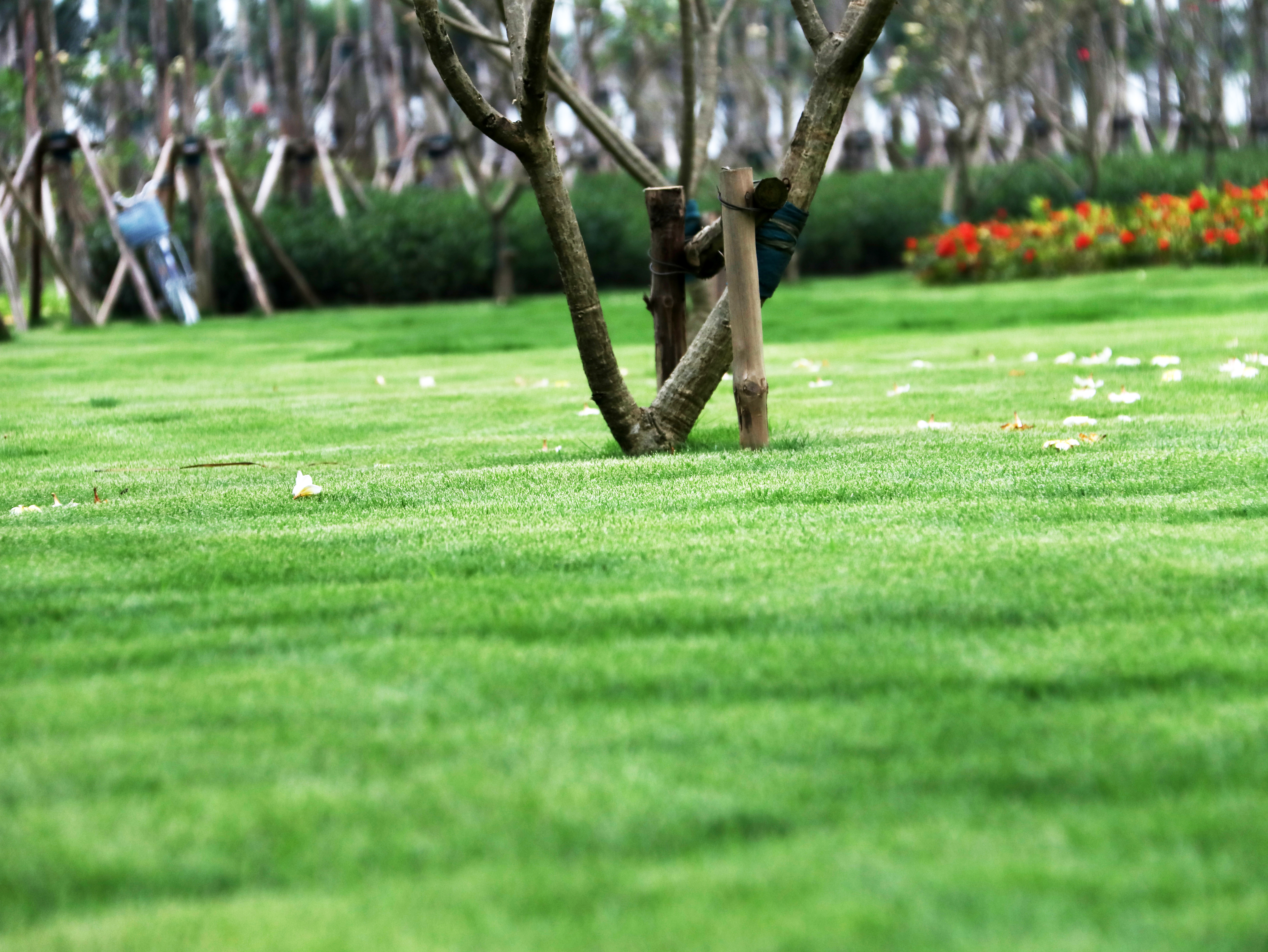 北海观山海高尔夫,北海最漂亮的场地