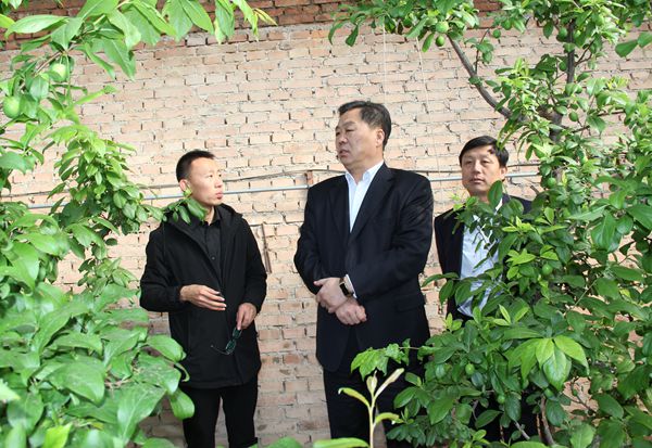 吴晓斌入企进村,吴晓斌进村