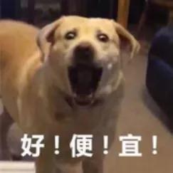 年货节福利来了快来给宝宝囤口粮,鄂尔多斯年货盛宴