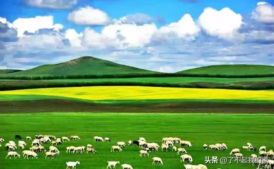 各地特产礼品一览表,天津特产必买清单一览表