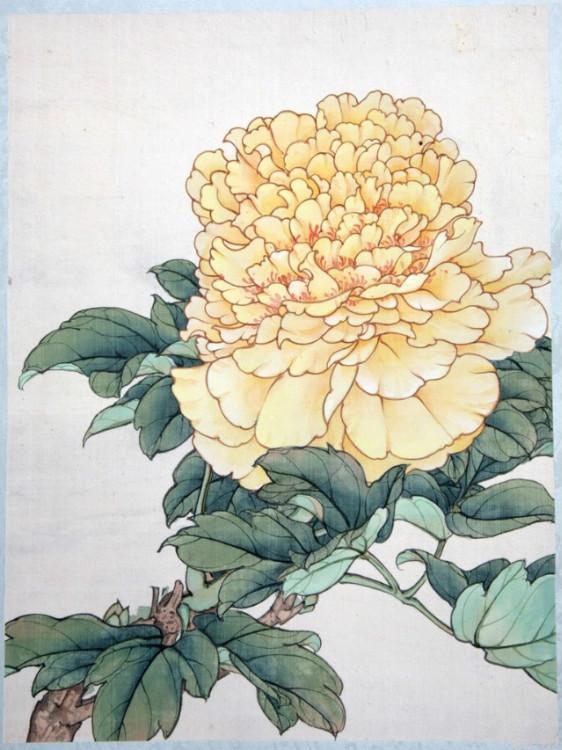 工笔牡丹勾线画法,工笔牡丹十二品设色步骤