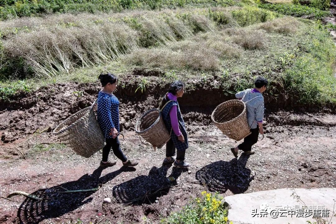 四川岳池坪滩旅游,岳池坪滩游玩攻略