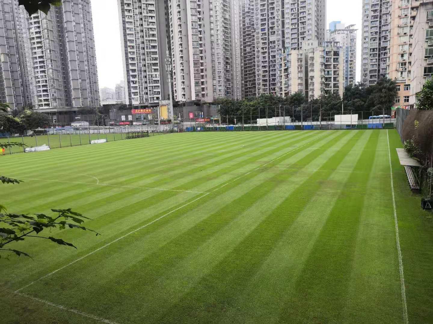 恒大足协限薪最新消息,限薪令能提高中国足球的水平吗