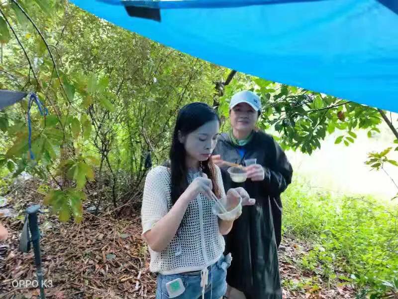 风雨无阻雨水版,风雨无阻赣江游