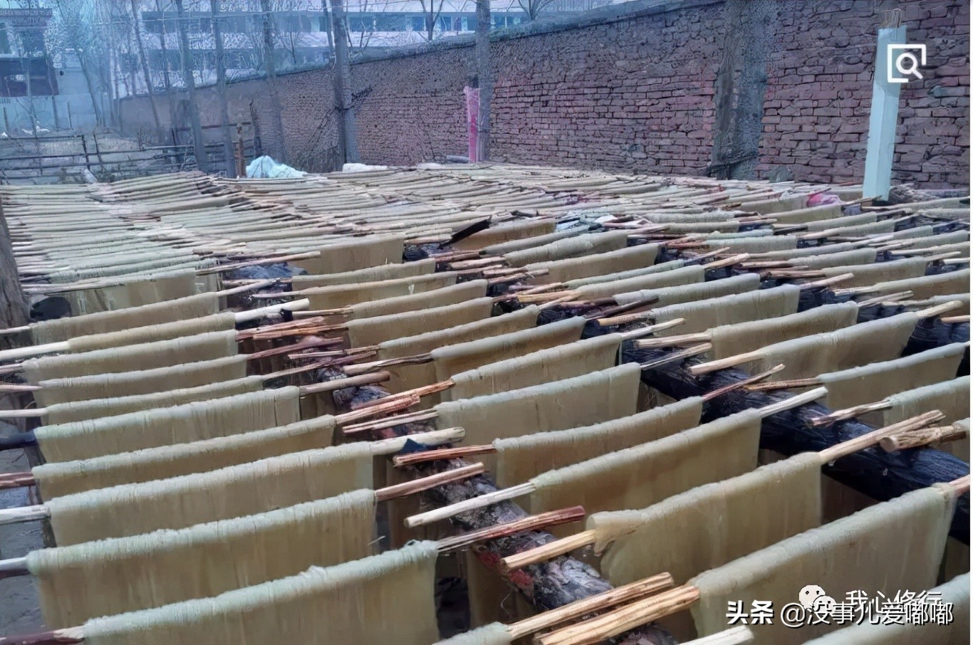 正宗红薯粉条,怎样下红薯粉条