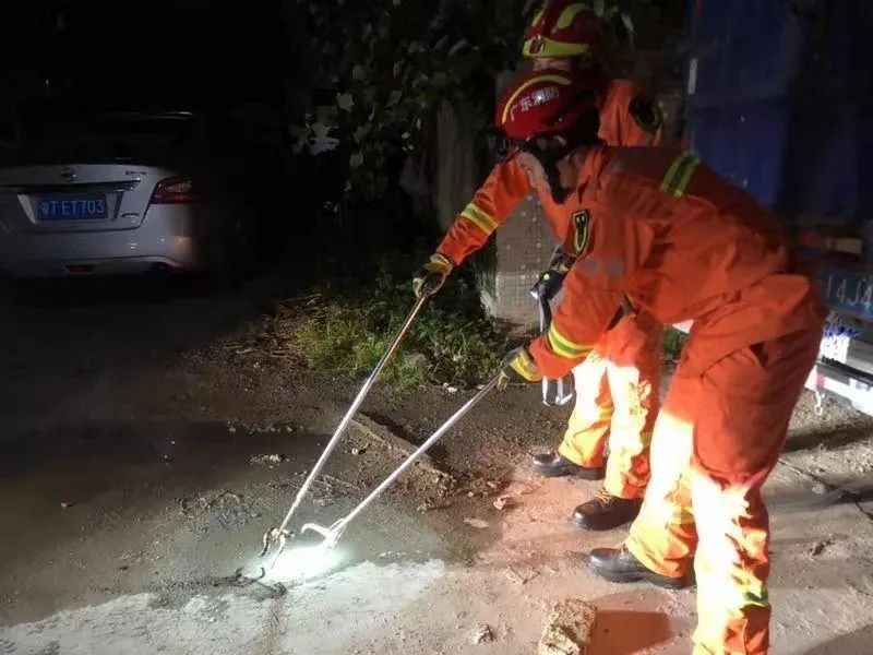 0.08毫克能让人致死，知道我国最毒的蛇有多毒吗？咬后几乎没痛感