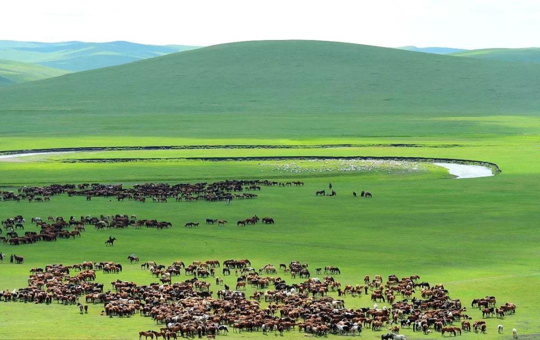 中国城市科研实力排名,中国面积最大的城市排名前十名
