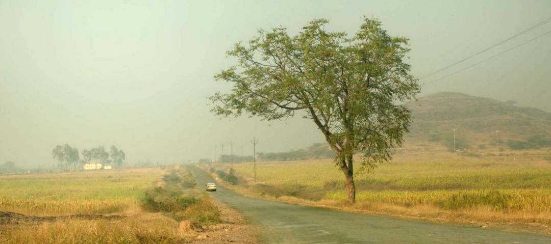 印度竟出爆款烧脑片,全程憋尿看完