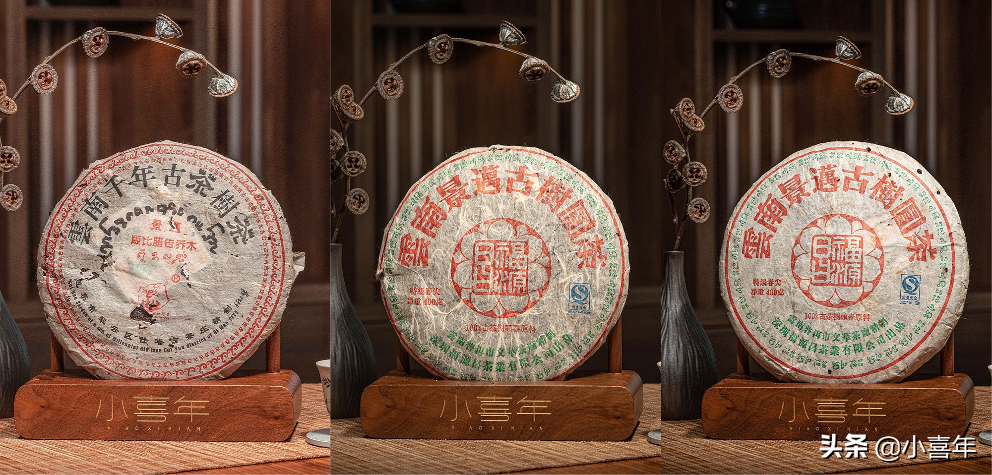 茶科普知识,茶科普视频开头