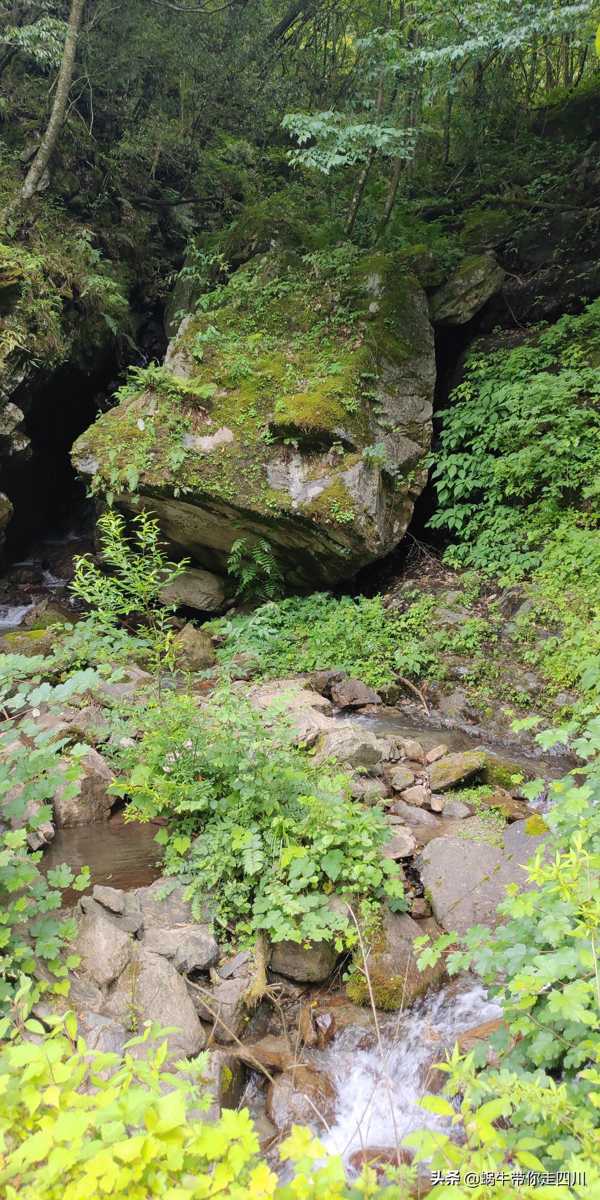 成都到西藏旅游一家三口,成都出发三天两夜旅行套票