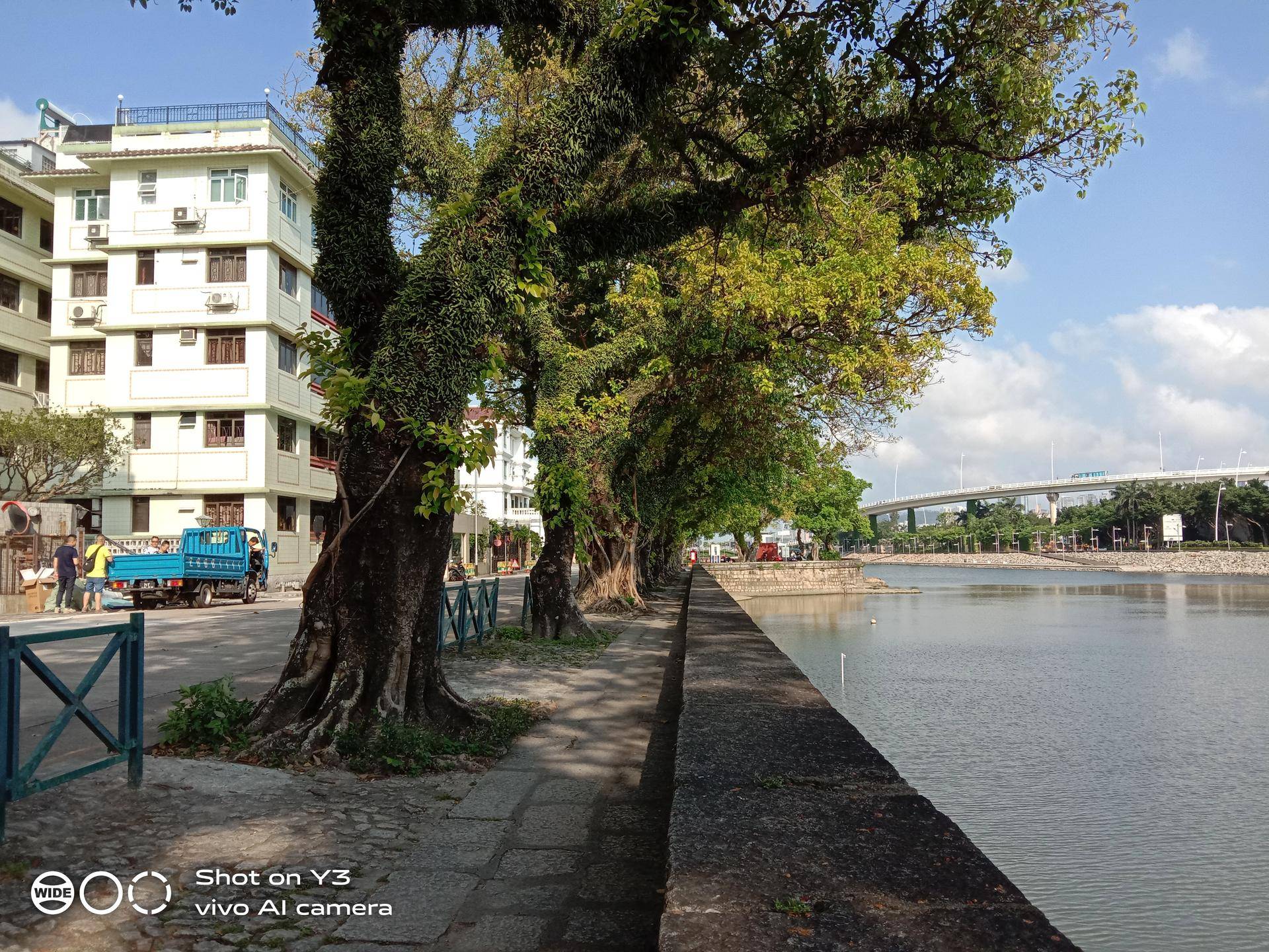 vivoy3标准版的秘密,vivoY3手机测评