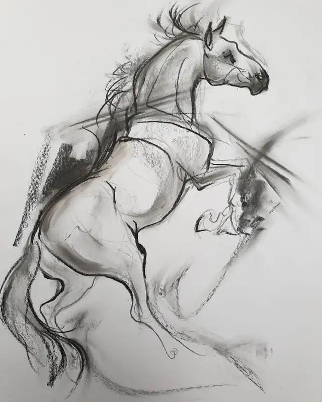 马怎么画简单图画,马怎么画更真实