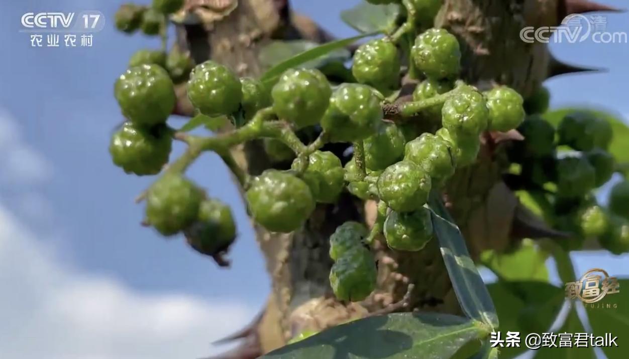 赚麻了：废蒸汽都能拿来赚钱