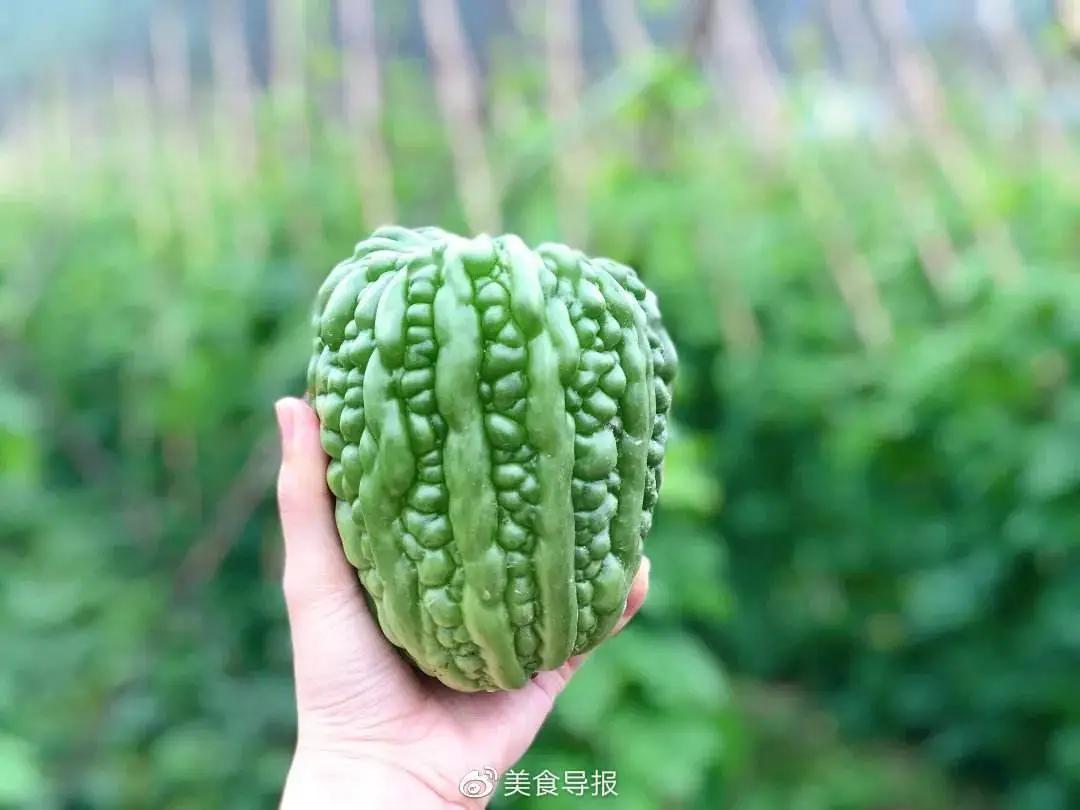 2022年野生菌什么时候大量上市 (山里的野菌样品及价格)