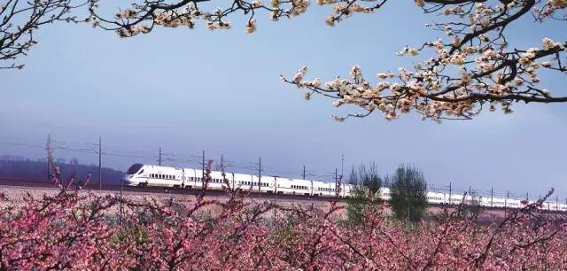 沈阳清明节高铁直达的地方有哪些,清明小长假沈阳铁路