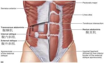 颈肩和腰痛的自我诊断,肩颈腰痛怎么引起的