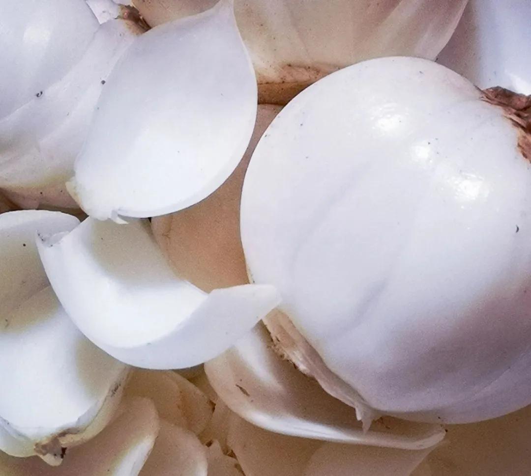 关于百合的典故有什么,关于百合的典故和传说