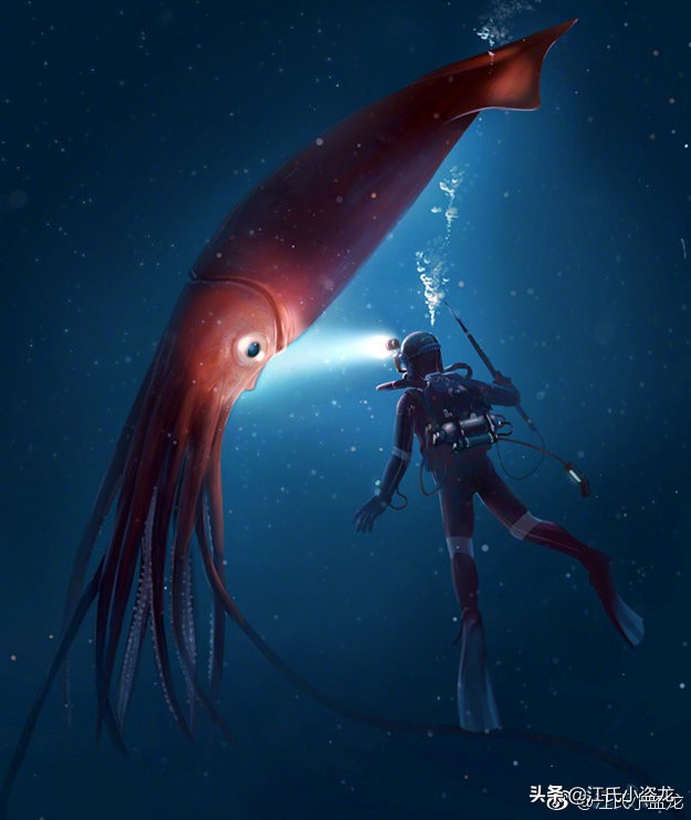 恐怖海怪大王乌贼,只有大王乌贼是海怪吗