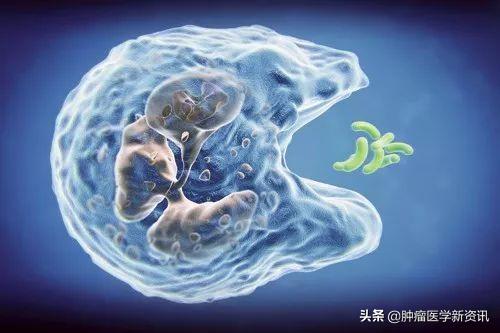 好端端的人为什么会得癌症,得了子宫内膜癌怎么办啊